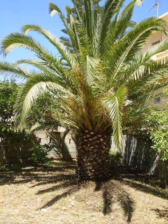 דירות פלקסטרון Granny'S House מראה חיצוני תמונה