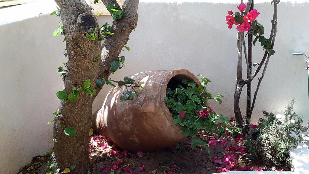 דירות פלקסטרון Granny'S House מראה חיצוני תמונה