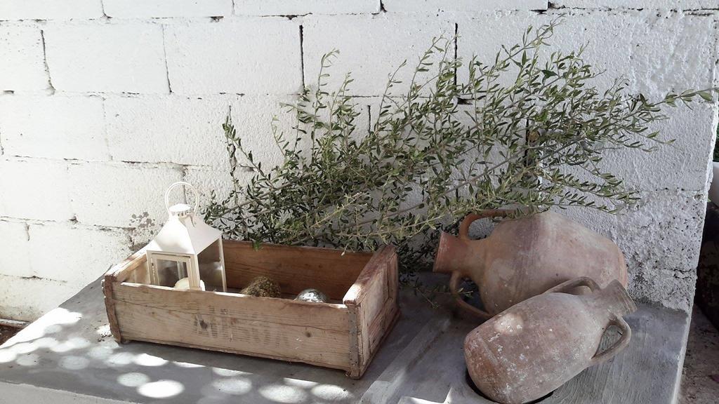 דירות פלקסטרון Granny'S House מראה חיצוני תמונה